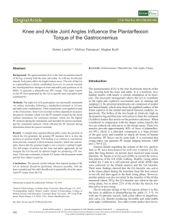 Knee and Ankle Joint Angles Influence the Plantarflexion Torque of