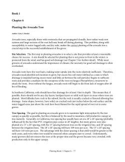 Book 1 Chapter 6 Planting the Avocado Tree