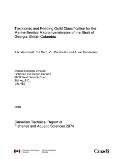Taxonomic and Feeding Guild Classification for the Marine Benthic