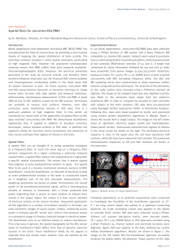 Spatial filters for concurrent EEG/fMRI