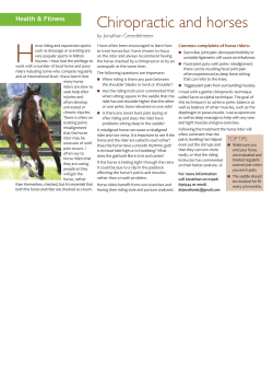 Chiropractic and horses