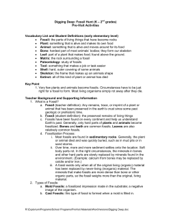 Digging Deep: Fossil Hunt (K &ndash; 2nd grades)