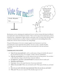 Macromolecule of the Year Project