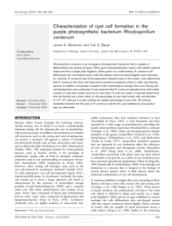 Characterization of cyst cell formation in the purple