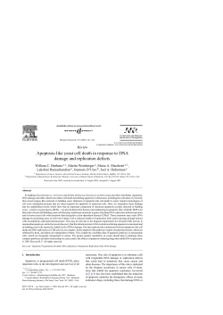Apoptosis-like yeast cell death in response to DNA damage and
