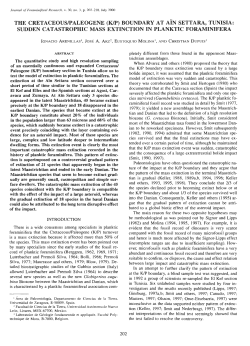 sudden catastrophic mass extinction in planktic foraminifera