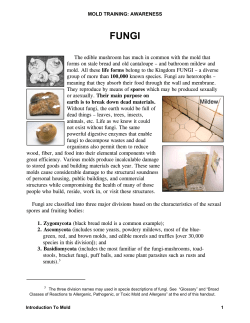 MOLD\01-2008 Don`s Mold Manual\Don`s Awareness Co