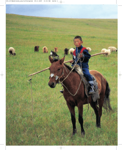 The Turkic Speaking Peoples 2000 Years of Art and