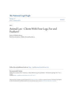 Animal Law - Clients With Four Legs, Fur and Feathers?