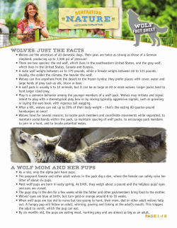 FACT SHEET WOLVES: JUST THE FACTS A WOLF MOM AND HER