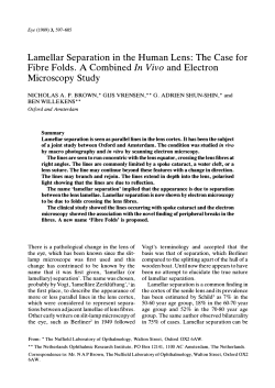 Lamellar Separation in the Human Lens: The Case for Fibre
