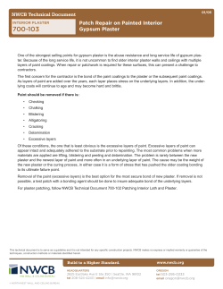 Patch Repair on Painted Interior Gypsum Plaster