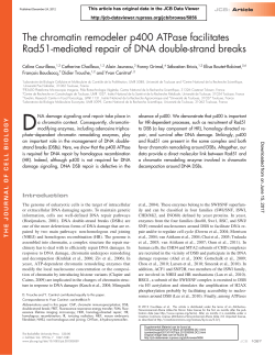 The chromatin remodeler p400 ATPase facilitates Rad51