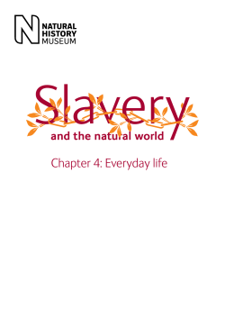 Chapter 4: Everyday life