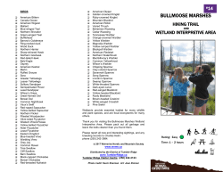 bullmoose marshes - Wolverine Nordic and Mountain Society
