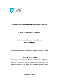 The Importance of Lipids to Biofilm Formation