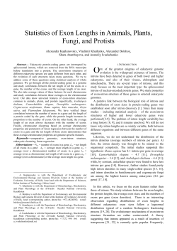 Statistics of Exon Lengths in Animals, Plants, Fungi, and Protists