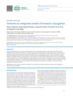 Towards an integrated model of bacterial conjugation