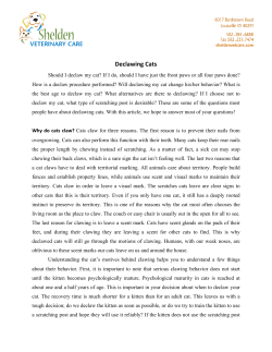 Declawing Cats - Shelden Veterinary Care