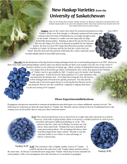 New Haskap Varieties from the University of Saskatchewan