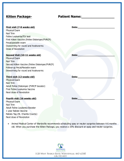 Kitten Package - Animal Medical Center of Wentzville