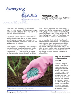 Phosphorus - National Environmental Services Center