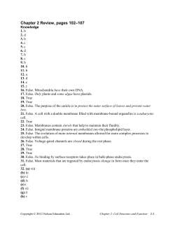 Chapter 2 Review Key