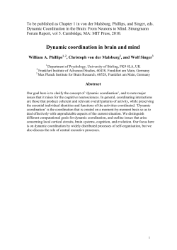 Is dynamic embedding relevant to `meta-cognition`