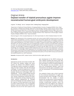 Ooplast transfer of triploid pronucleus zygote improve reconstructed