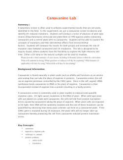 Canavanine Lab