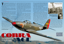 for the ACE - Warbirds International