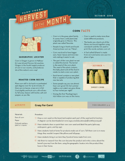CORN FACTS