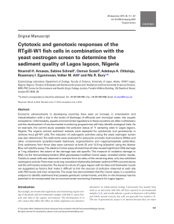 Cytotoxic and genotoxic responses of the RTgill
