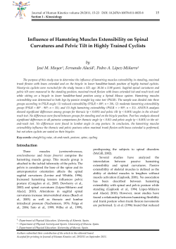 Influence of Hamstring Muscles Extensibility on