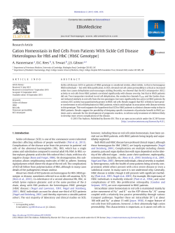Cation Homeostasis in Red Cells From Patients With Sickle Cell