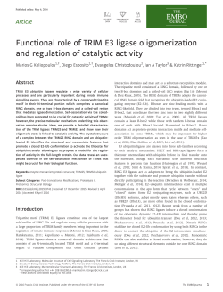 Functional role of TRIM E3 ligase oligomerization and regulation of