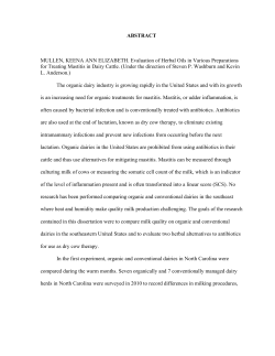 ABSTRACT MULLEN, KEENA ANN ELIZABETH