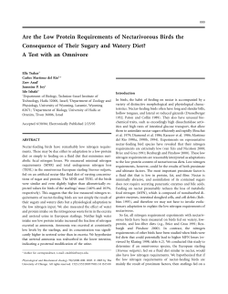 Are the Low Protein Requirements of Nectarivorous Birds the