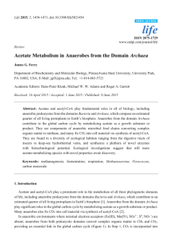 Full-Text PDF