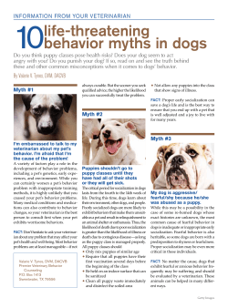 10 life threatening behavior myths in dogs