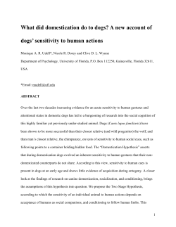 Domestication and the social behavior of canids