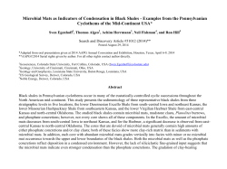 Microbial Mats as Indicators of Condensation in Black Shales
