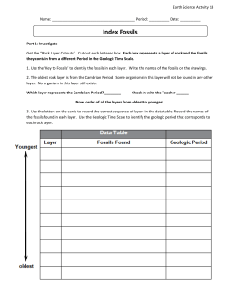 Index Fossils - Turner Science 8