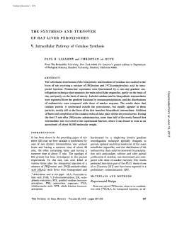 THE SYNTHESIS AND TURNOVER OF RAT LIVER PEROXISOMES