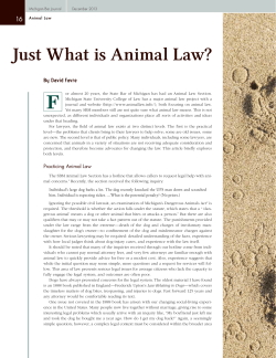 Just What is Animal Law?