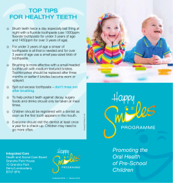 Happy Smiles Pre-School Programme Information Leaflet