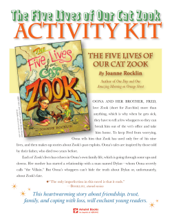 The Five Lives of Our Cat Zook