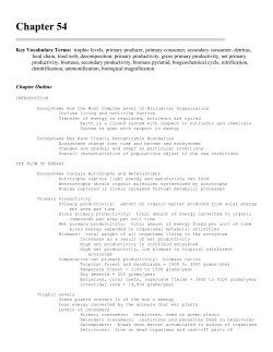 Chapter 54