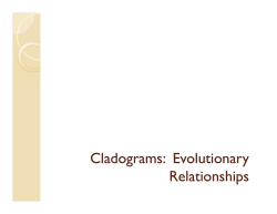 Cladograms: Evolutionary Relationships