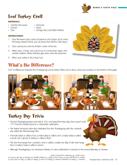Leaf Turkey Craft What`s the Difference? Turkey Day Trivia